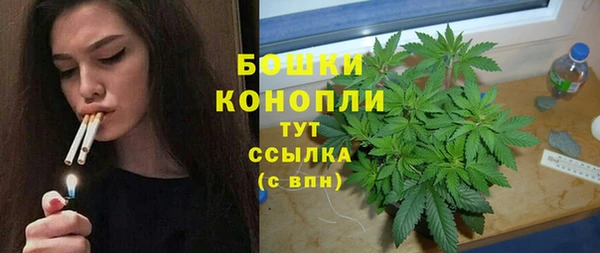 ПСИЛОЦИБИНОВЫЕ ГРИБЫ Ачинск