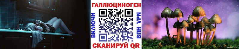 где можно купить наркотик  Бикин  Псилоцибиновые грибы Psilocybe 